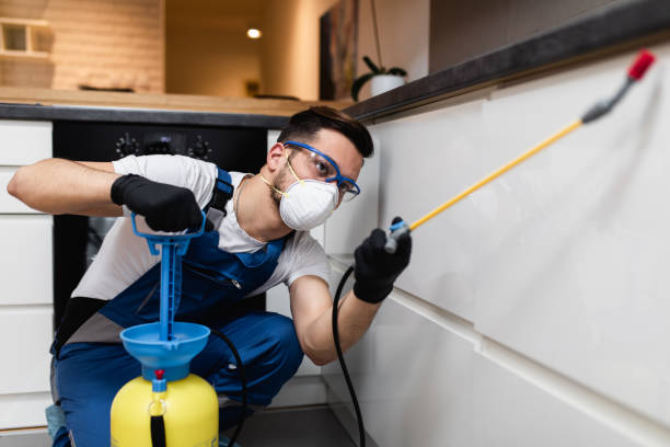 Best Commercial Pest Control Services  in West Falmouth, MA