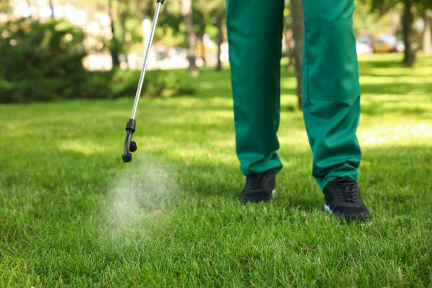 Best Rat Extermination Near Me  in West Falmouth, MA