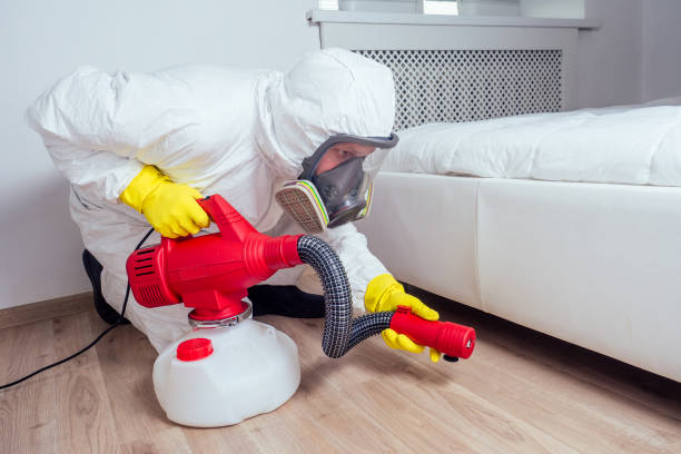 Reliable West Falmouth, MA Pest Control Solutions