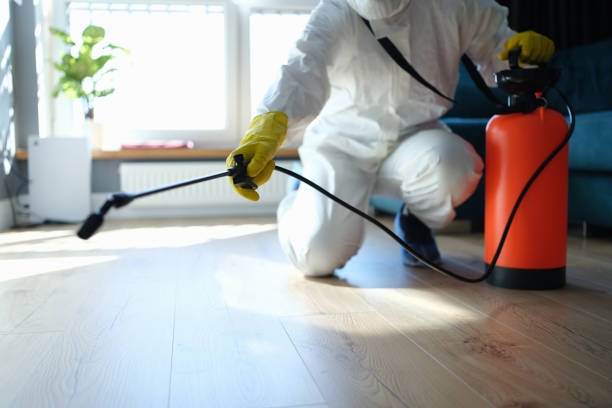 Best Insect Control  in West Falmouth, MA