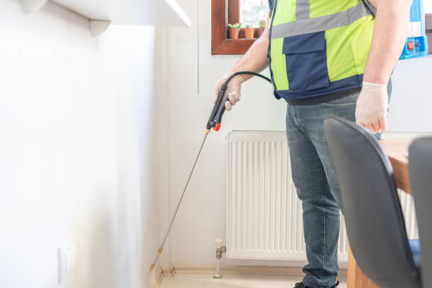 Flea Control Services in West Falmouth, MA