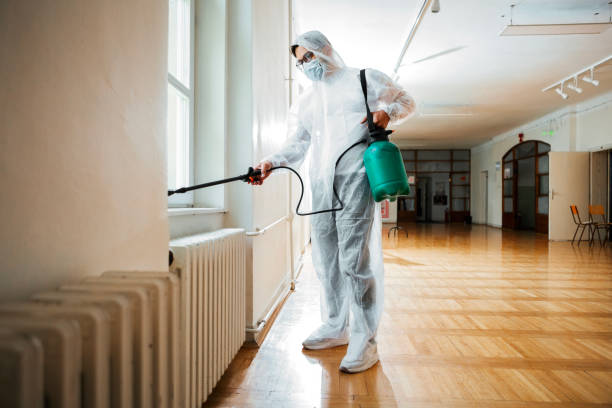 Best Mosquito Control Services  in West Falmouth, MA